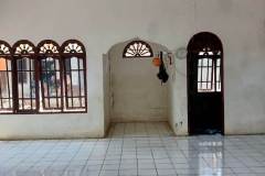 IMG-20251207-WA0124