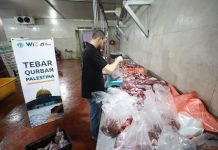 Idul Adha 1443 H, Daging Qurban Masyarakat Indonesia Bahagiakan Saudara Palestina