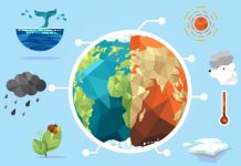 Hari Lingkungan Hidup se Dunia, Wahdah Islamiyah Ajak Masyarakat Menjaga dan Memelihara Alam