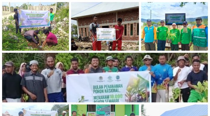 Peduli Lingkungan Hidup, Kader Wahdah Islamiyah se Sultra Ditarget Tanam 100.000 Pohon Hingga Tahun 2030