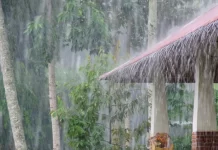 Tafakkur | Hujan dan Kehidupan Pernikahan