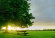 Apakah Allah Azza Wajalla Duduk di Atas Kursi-Nya?