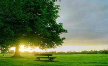 Apakah Allah Azza Wajalla Duduk di Atas Kursi-Nya?