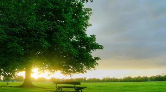 Apakah Allah Azza Wajalla Duduk di Atas Kursi-Nya?