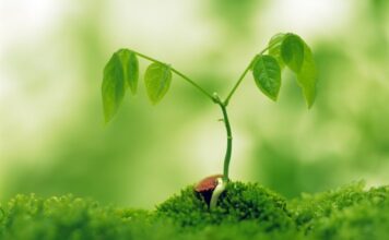 Tips Ringkas Metode Pendidikan Anak dalam Keluarga