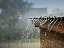 Musim Hujan, Musim Pahala: Amalkan 3 Doa Ini di Tengah Turunnya Rahmat Allah