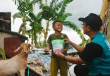 Kelola 71 Sapi dan 10 Kambing, Wahdah Islamiyah Kolaka Sebar Kebahagiaan Qurban Hingga Pelosok Desa